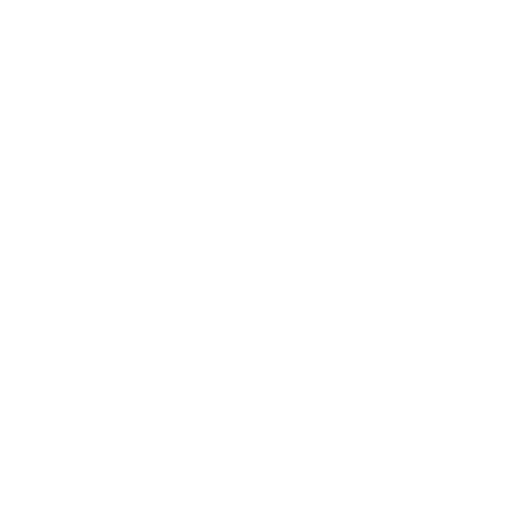Marketing SAFI